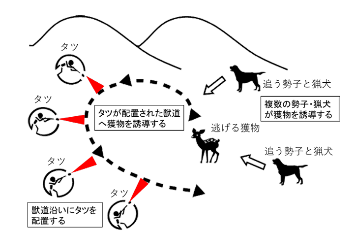 巻狩りのイメージ図